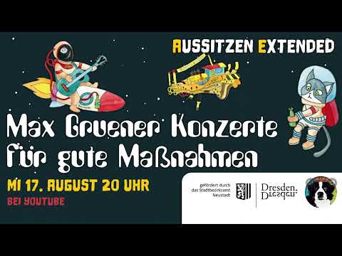 Konzerte für gute Maßnahmen - Max Grüner