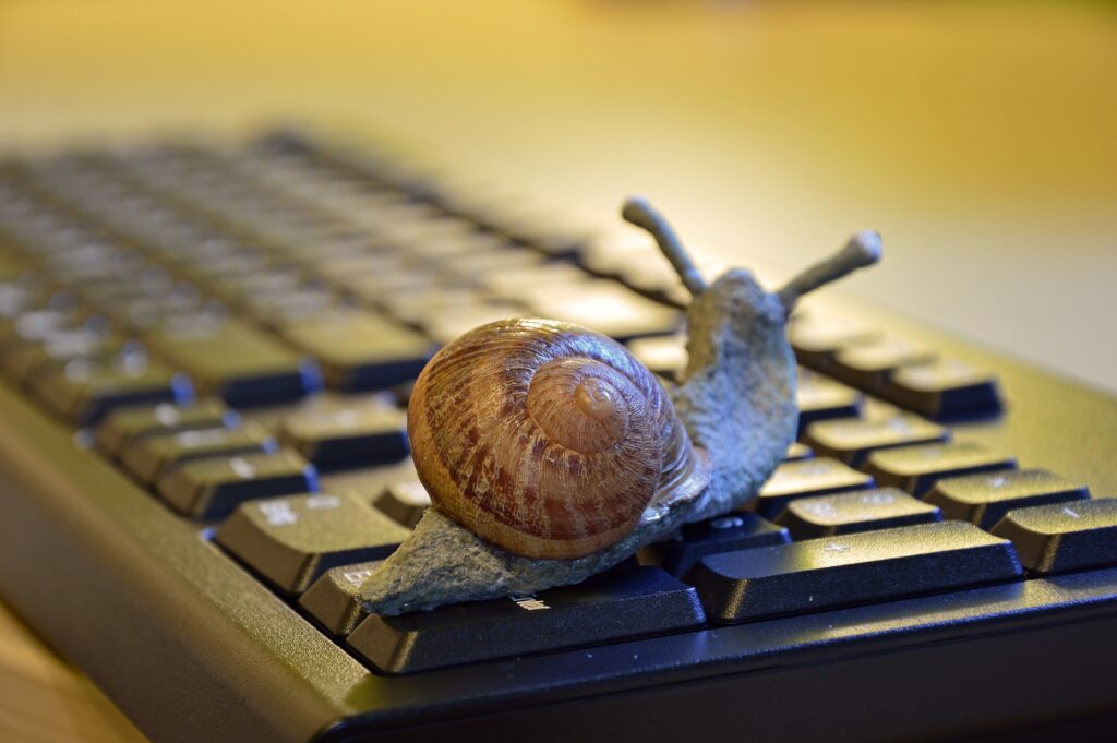 Snail @ Office