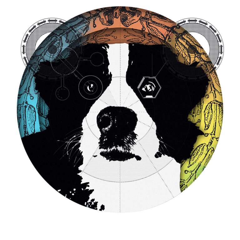 Neustadt Art Kollektiv Orga-Treffen